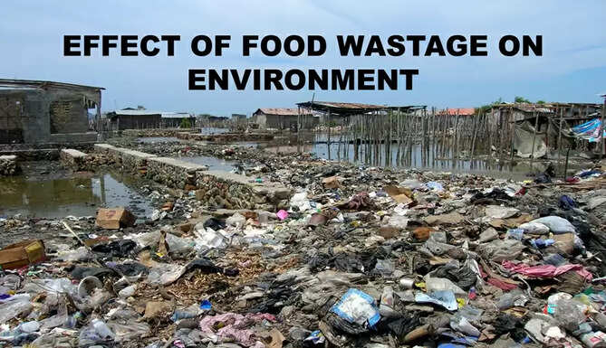  Detrimental Effect of Food Wastage on Environment