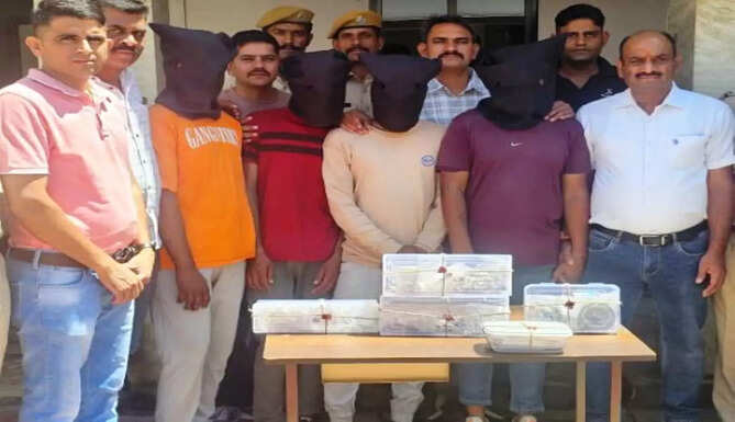 jwell thief arrest