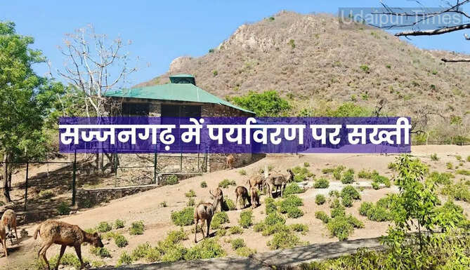 Sajjangarh Sanctuary Udaipur 