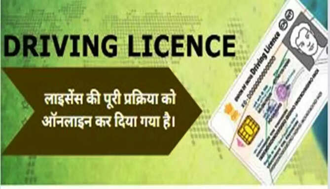 driving licences 