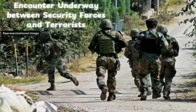 jammu