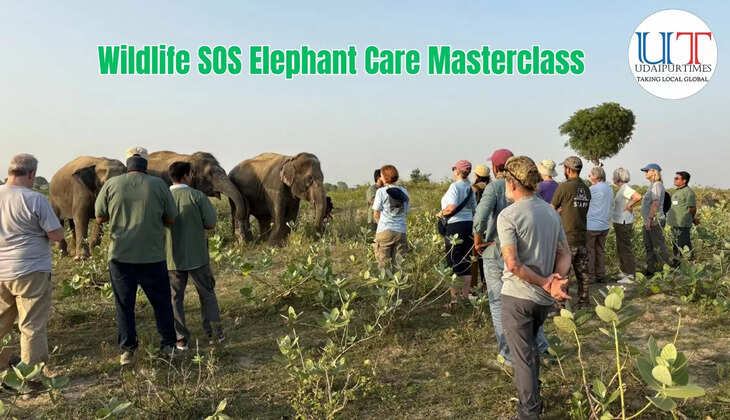 Wildlife Masterclass