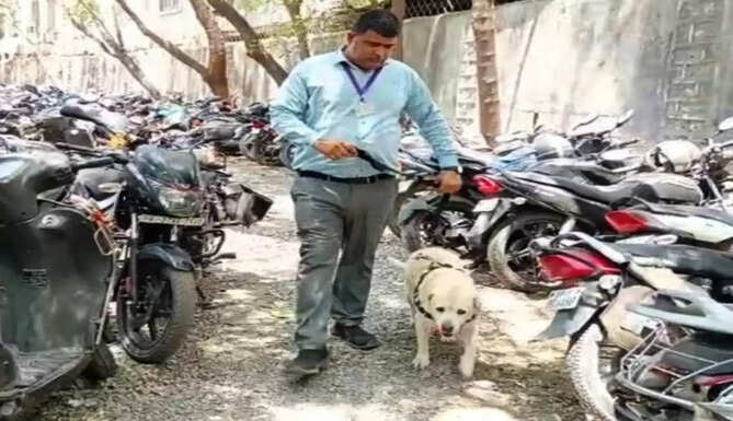 checking