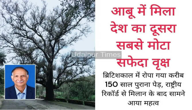 The Second Thickest tree of India 