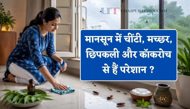 मानसून में चींटी, मच्छर, छिपकली और कॉकरोच से हैं परेशान ? अपनाएं ये आसान घरेलू उपाय&nbsp;