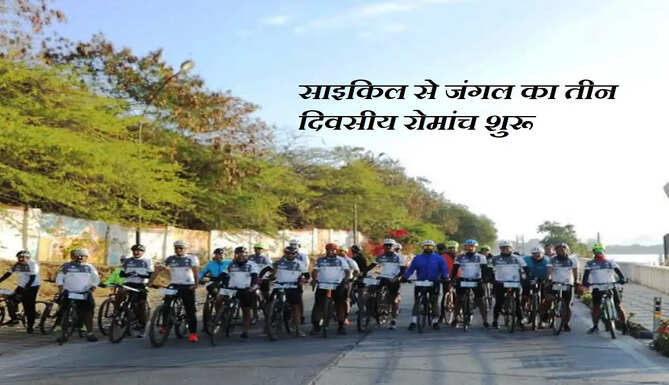 jangle cycle safari
