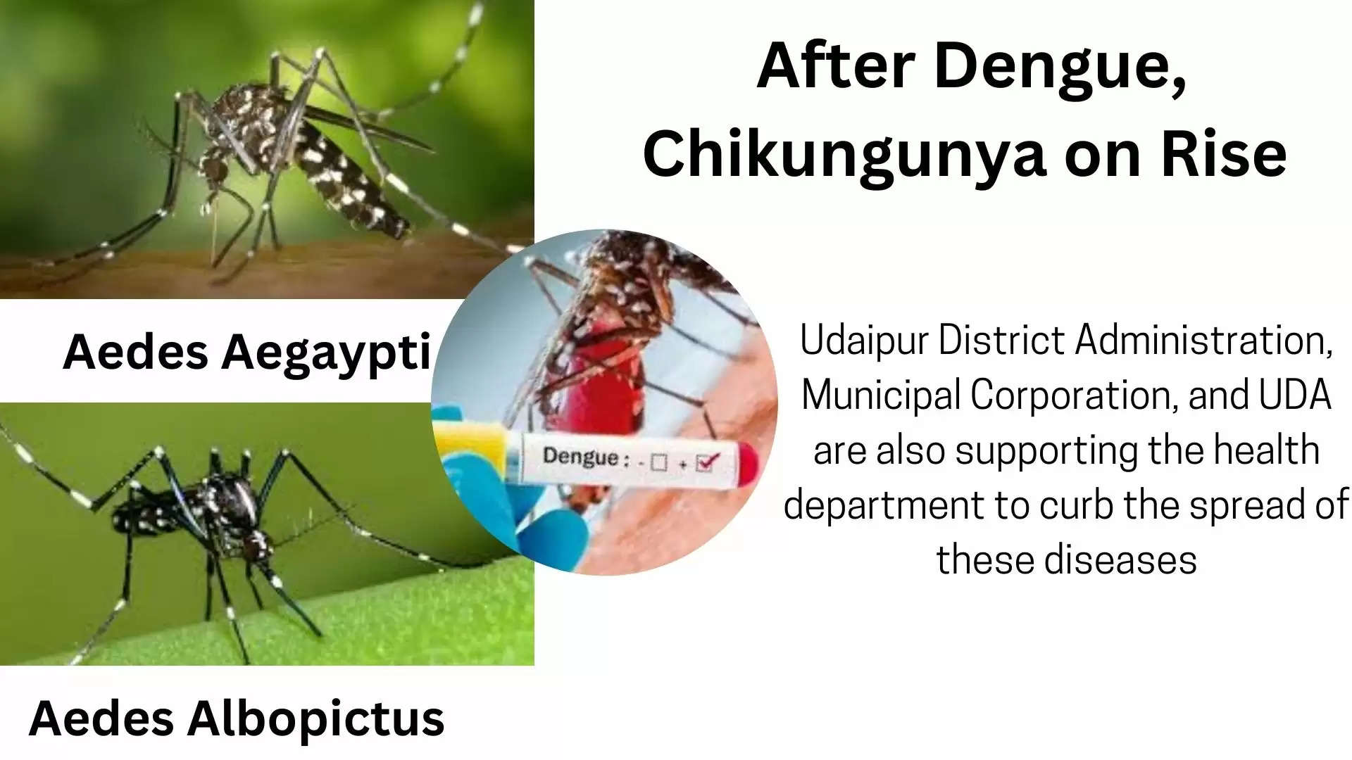 Chikungunya