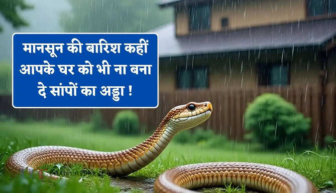 मानसून की बारिश कहीं आपके घर को भी ना बना दे सांपों का अड्डा ! जल्दी अपनाए ये 5 आसान तरीके&nbsp;