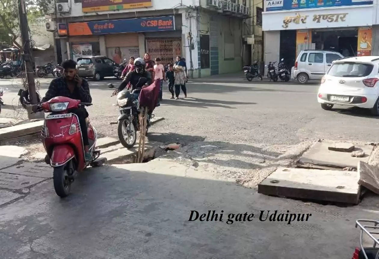 delhi gate udaipur