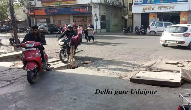 delhi gate udaipur