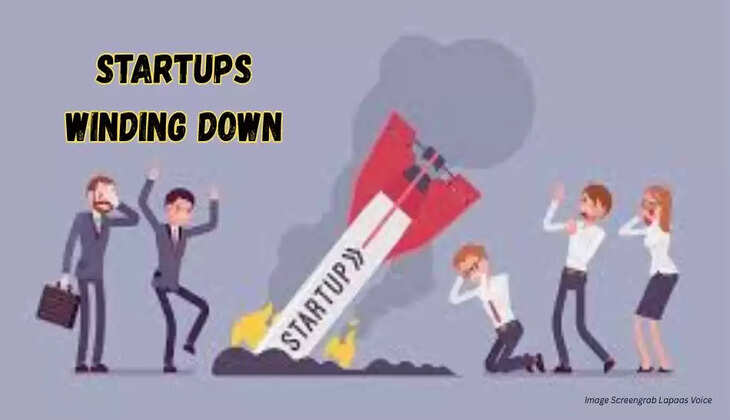startups