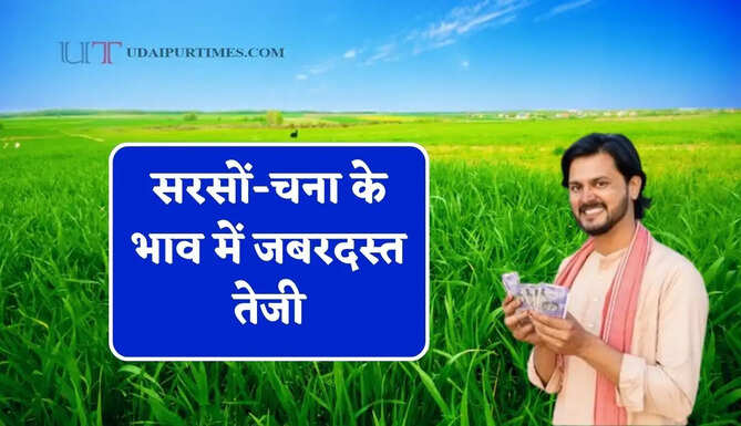 सरसों-चना के भाव में जबरदस्त तेजी, देखें सभी मंडियों के नए रेट