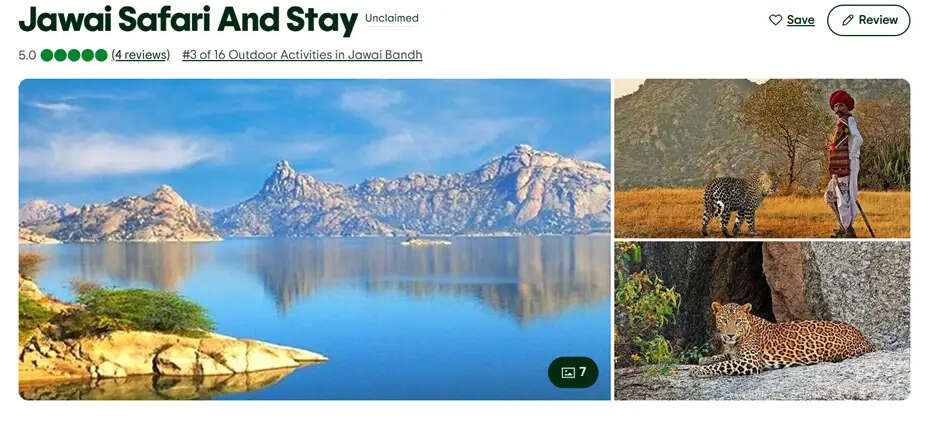 Top 10 Places to Visit Near Udaipur for a Weekend Getaway Jawai Safari