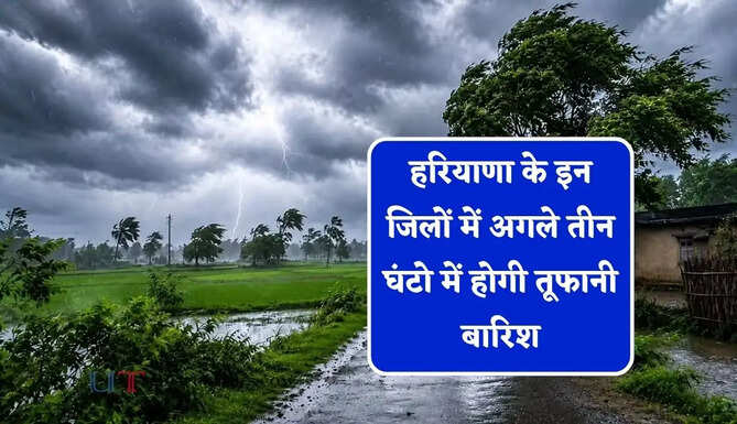 हरियाणा के इन जिलों में अगले तीन घंटो में होगी तूफानी&nbsp;बारिश, मौसम विभाग ने जारी किया अलर्ट