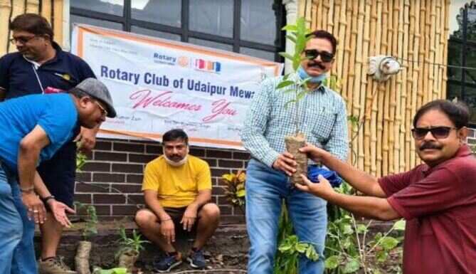 रोटरी मेवाड़ ने रोपें ढाई सौ पोधें