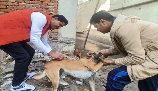 rebies free udaipur