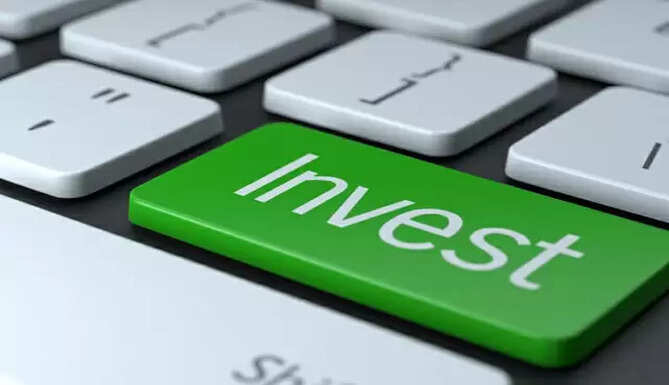 Investment Portfolio