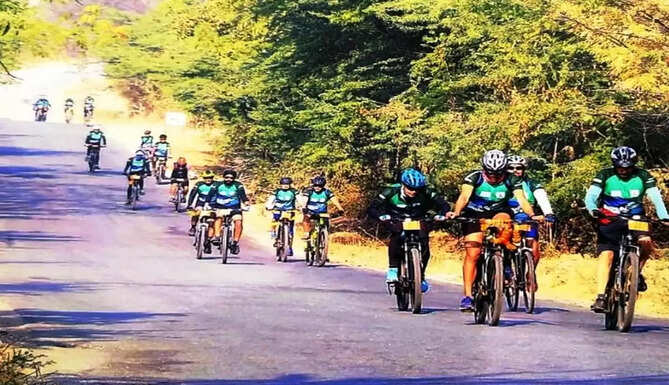 pedal to jungle