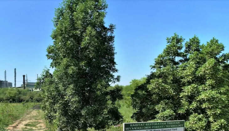 HZL