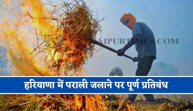 हरियाणा में पराली जलाने पर पूर्ण प्रतिबंध, जाने उल्लंघन करने वालों पर कितना लगेगा जुर्माना ?