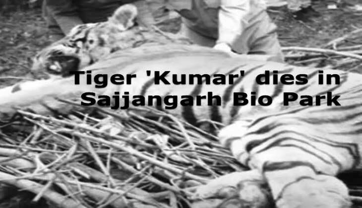 Tiger Kumar Dies