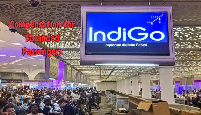 Indigo