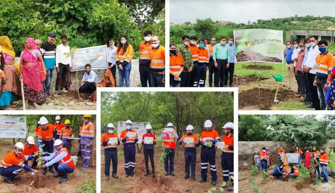 plantation by HZL
