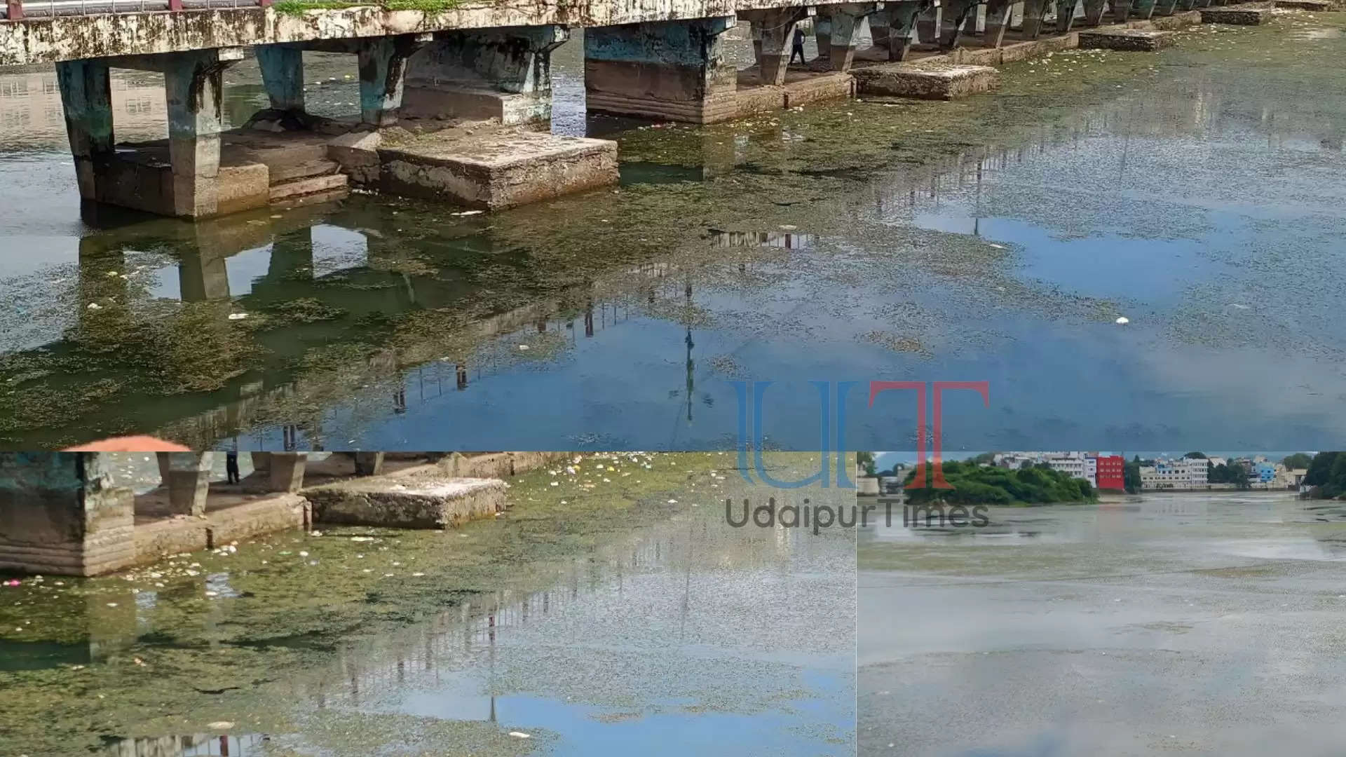 Lake Pollution Udaipur