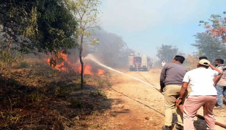 fire at sajjangarh 