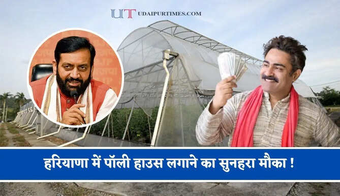 हरियाणा में पॉली हाउस लगाने का सुनहरा मौका ! सरकार दे रही 85 प्रतिशत तक सब्सिडी, ऐसे उठाएं लाभ ?