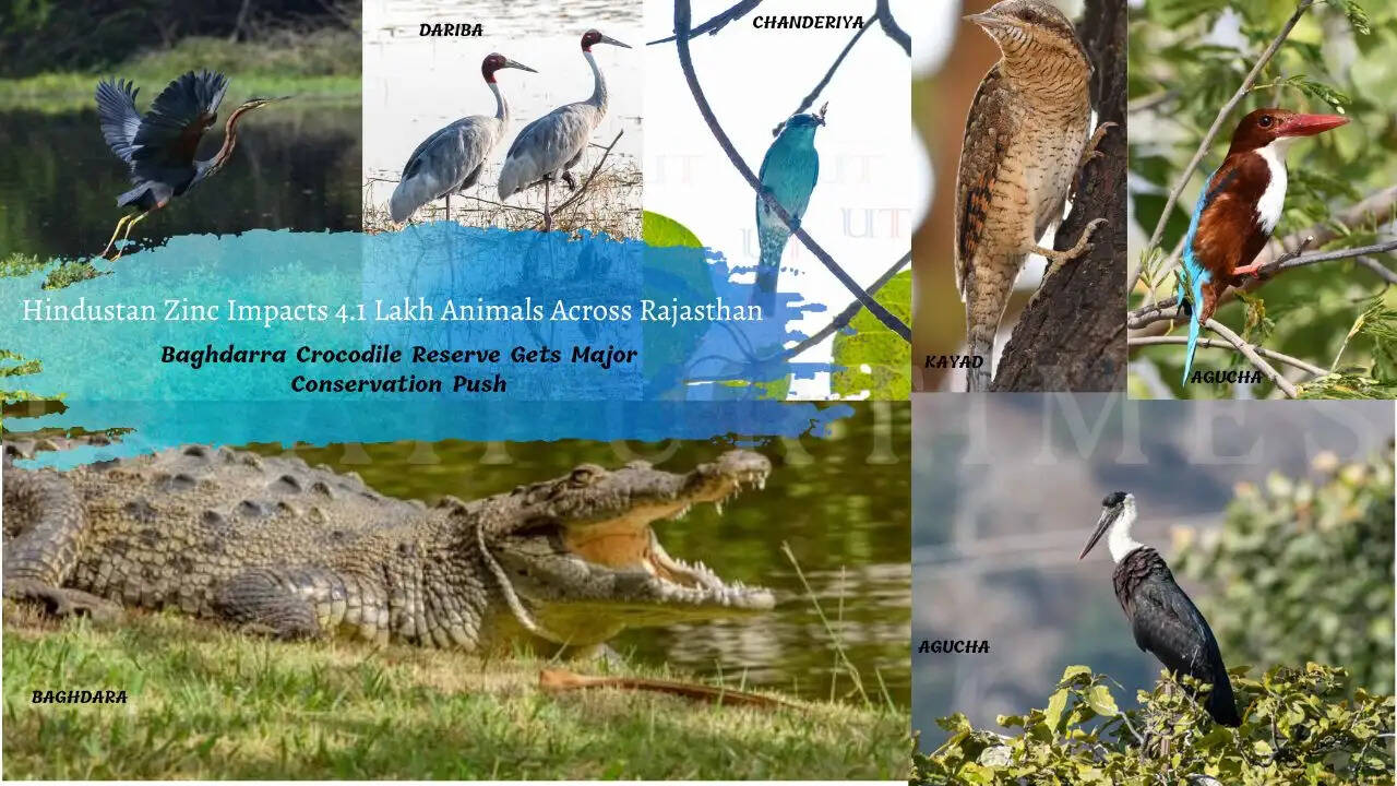 Hindustan Zinc biodiversity and animal care initiatives in Rajasthan including Baghdarra Crocodile Conservation Reserve in Udaipur